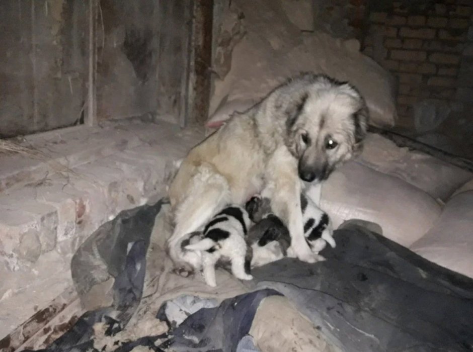 Человек скобка