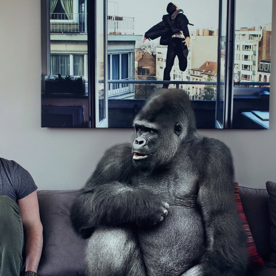 Обезьяна с яйцами