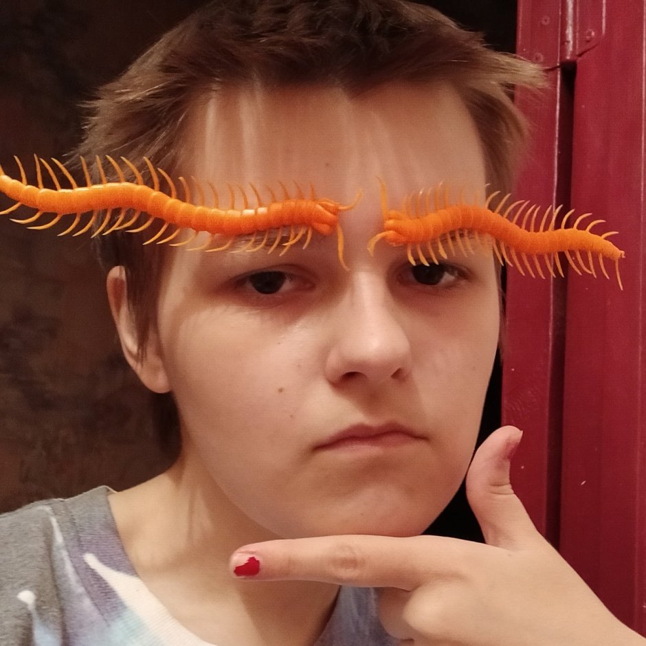 Мадагаскарский кивсяк