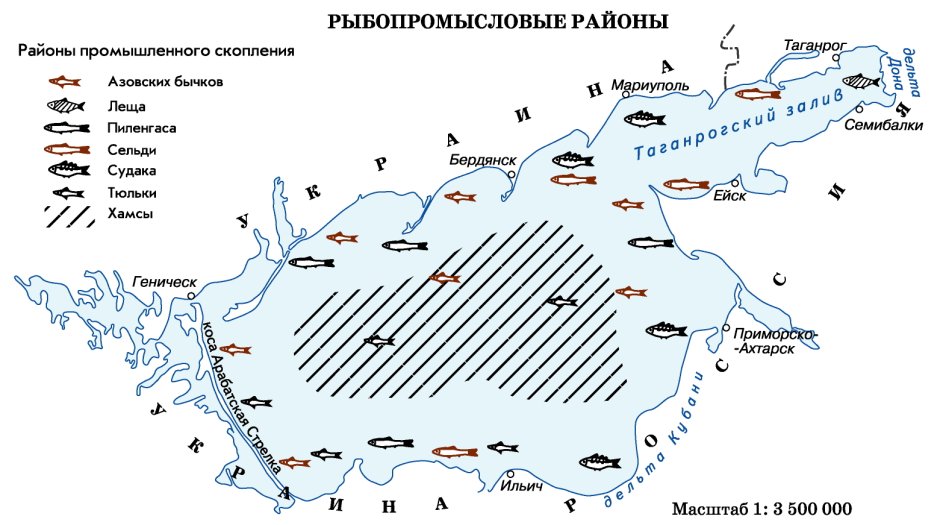 Каббала рыба