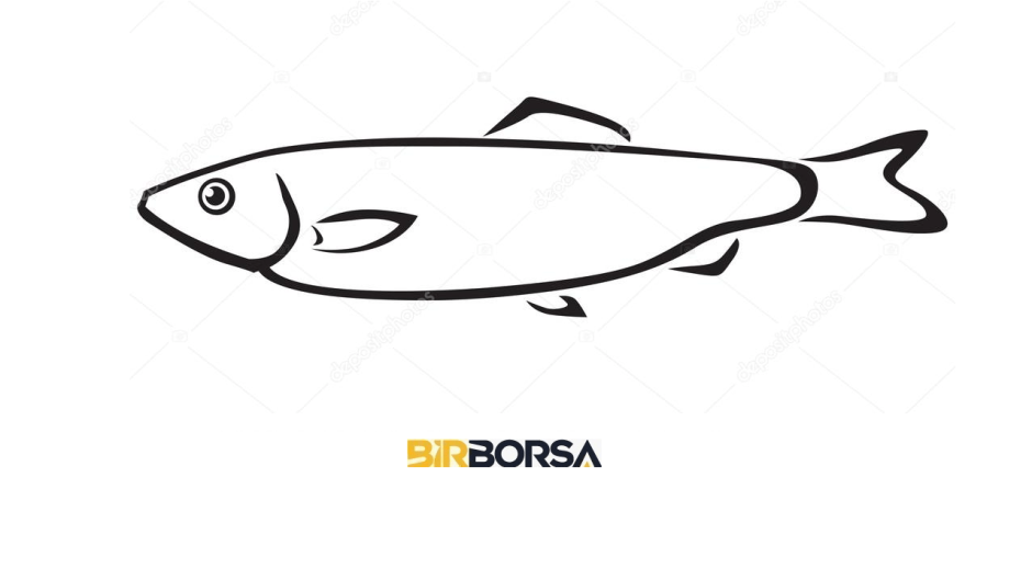 Навага корюшка