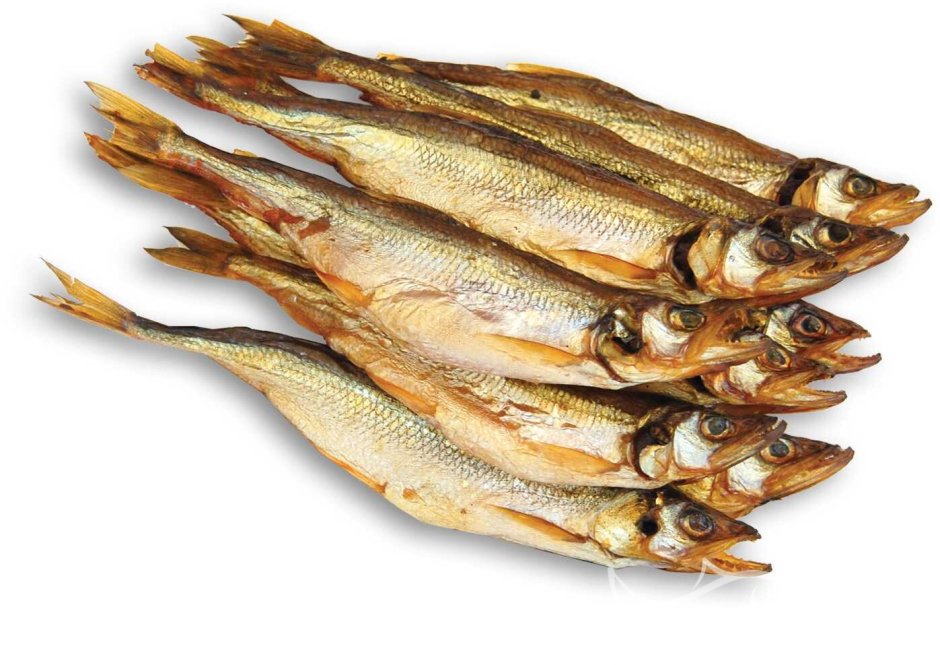 Корюшка Балтийская