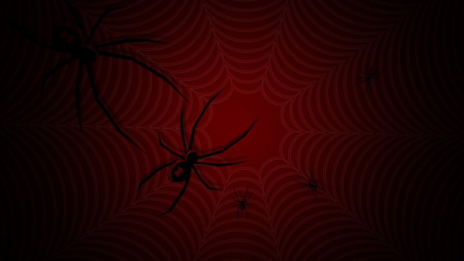 Паук бокоход красный