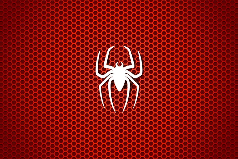 Паук бокоход белый