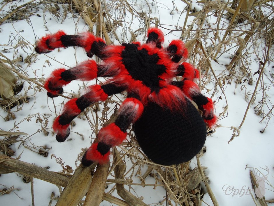 Красный паук у человека паука на белом фоне