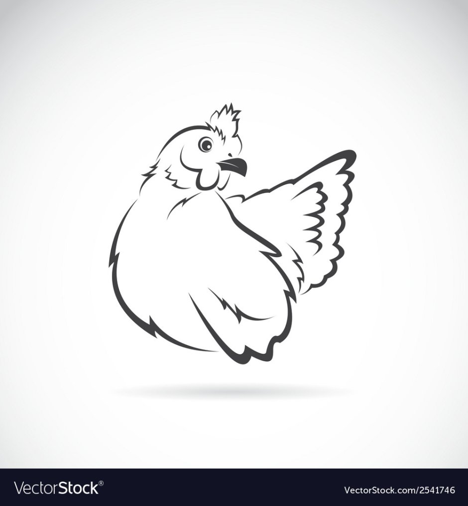 Курица рисунок Минимализм
