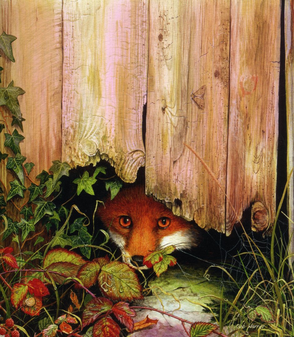 Художник Сью Уорнер Sue Warner