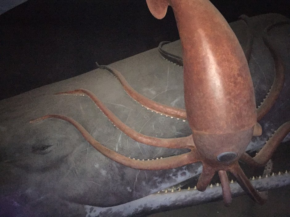 Гигантский Кашалот