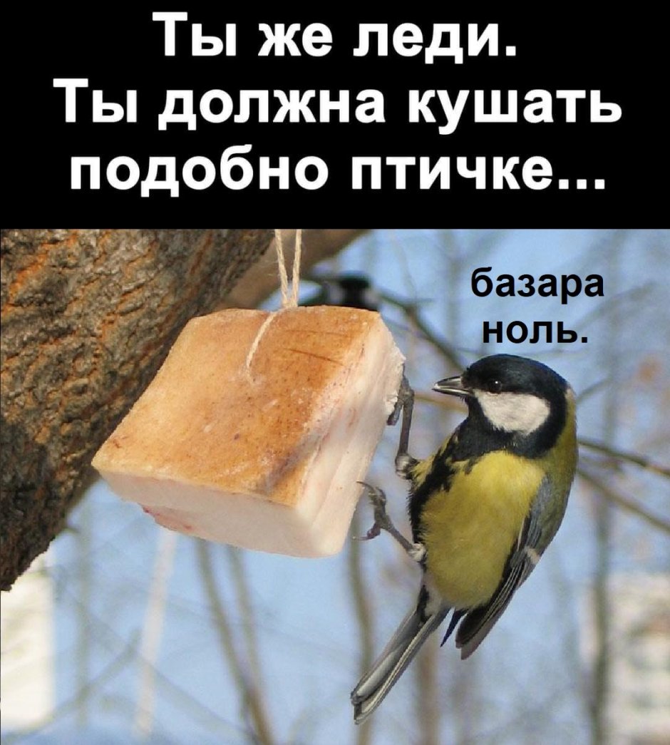 Грустная синичка