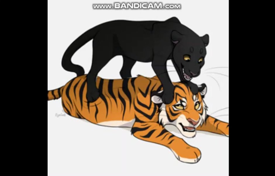 Маньчжурская пантера