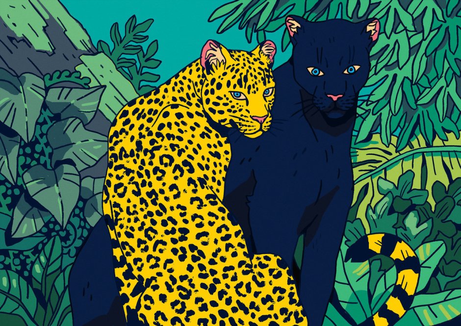 Леопард vs Пума