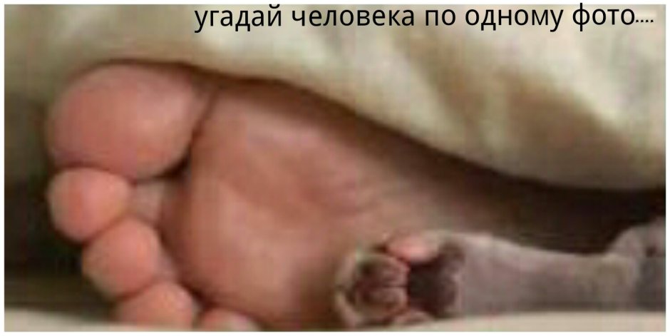 Кошачьи пятки