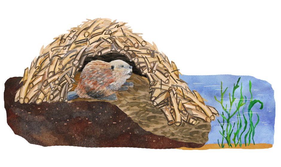 Домик для ежа зимний