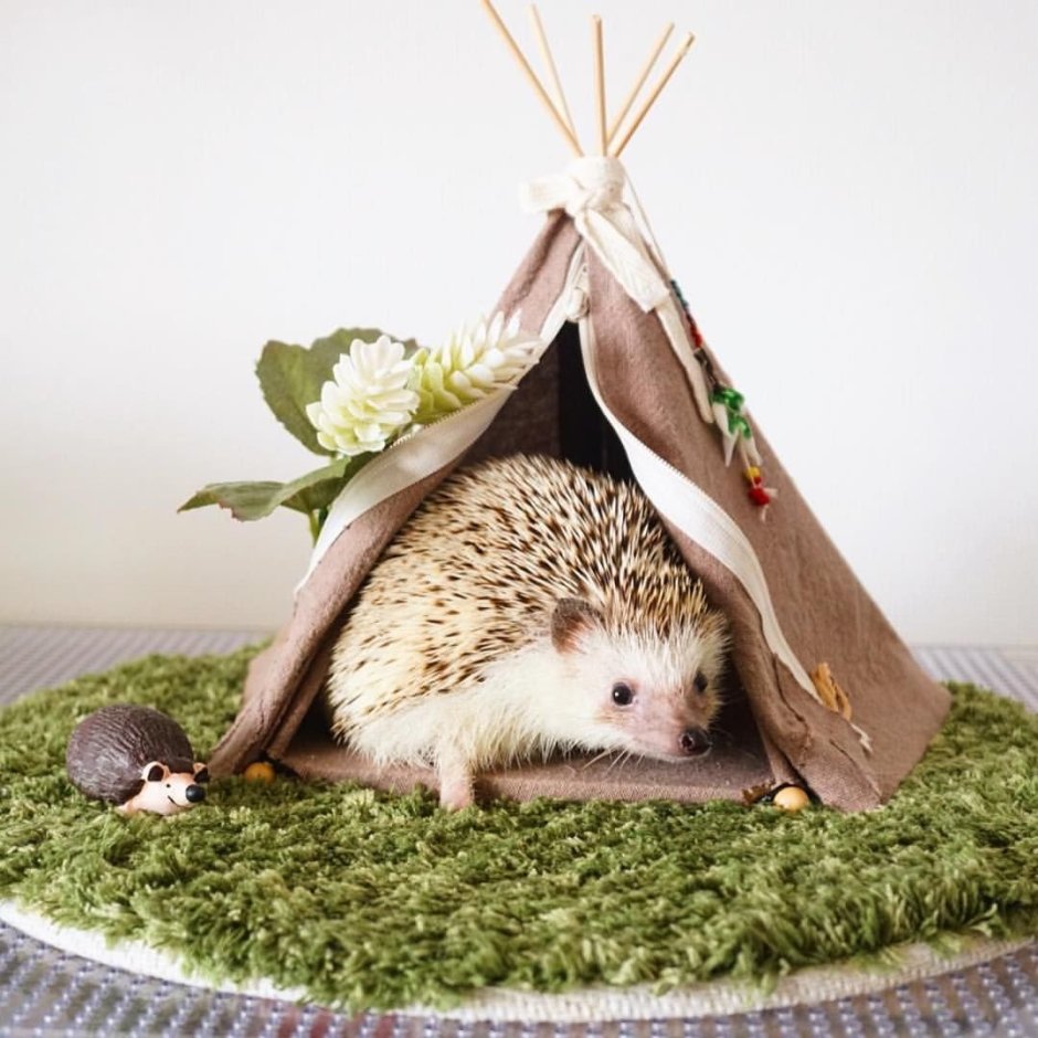 Домик для ежика