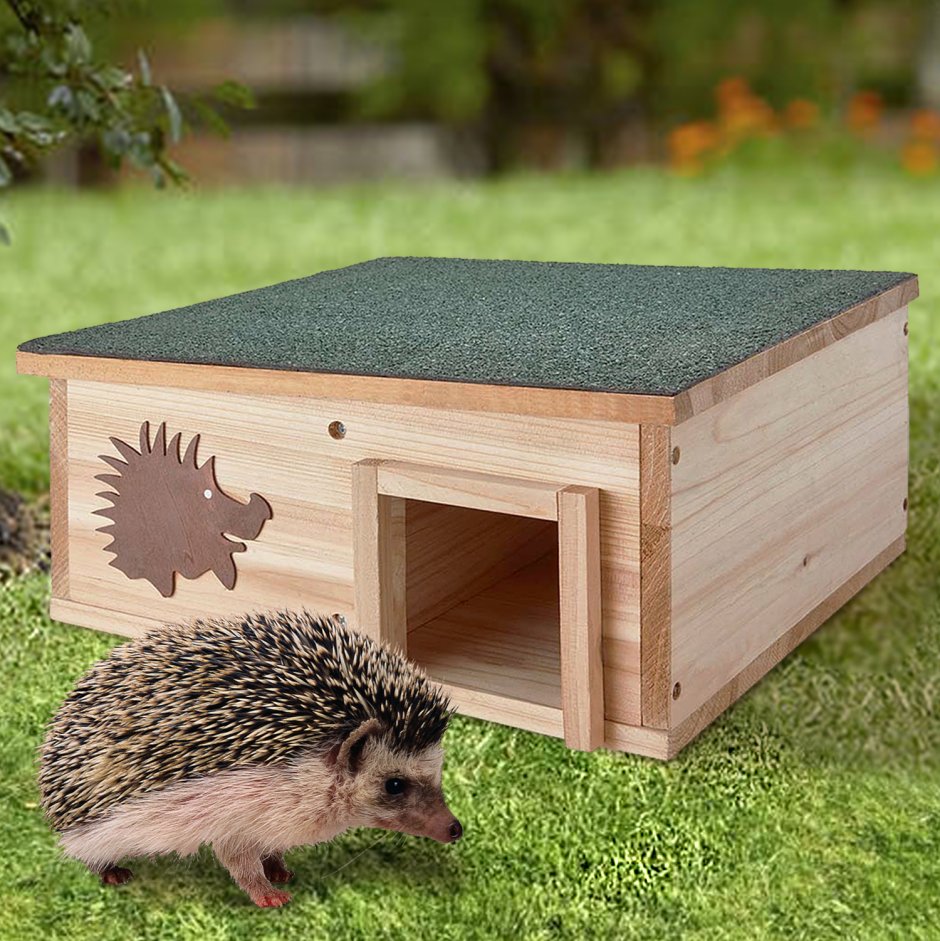 Дом для ежа в квартире