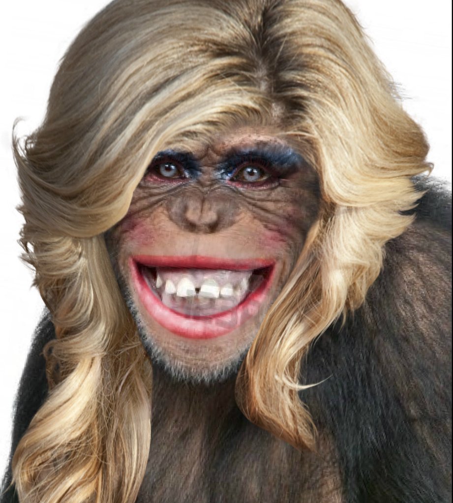 Беззубая шимпанзе