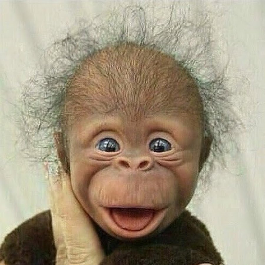 И Бог создал женщину