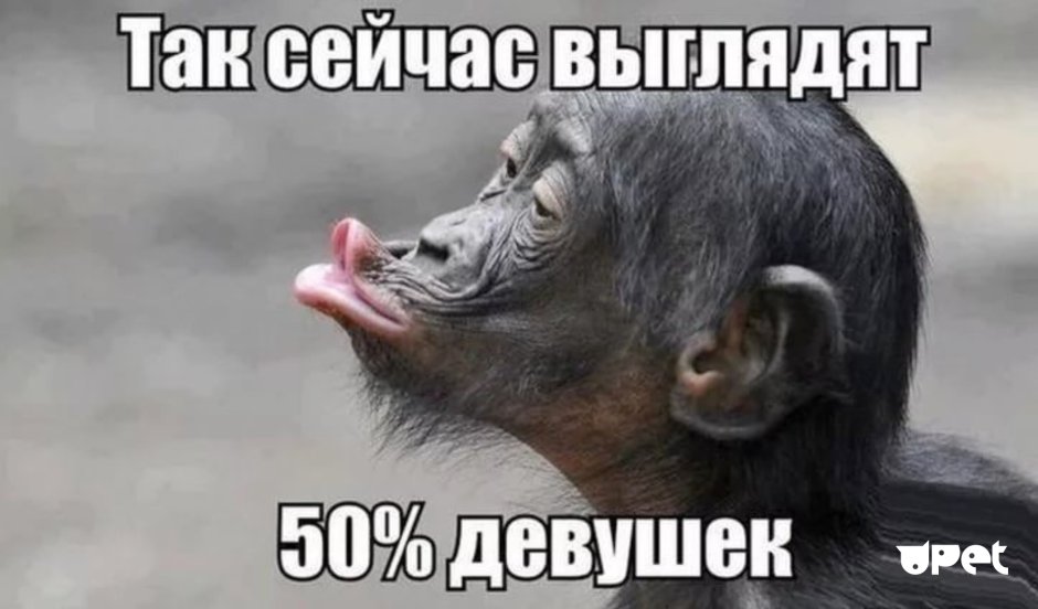 Обезьяна с большой губой