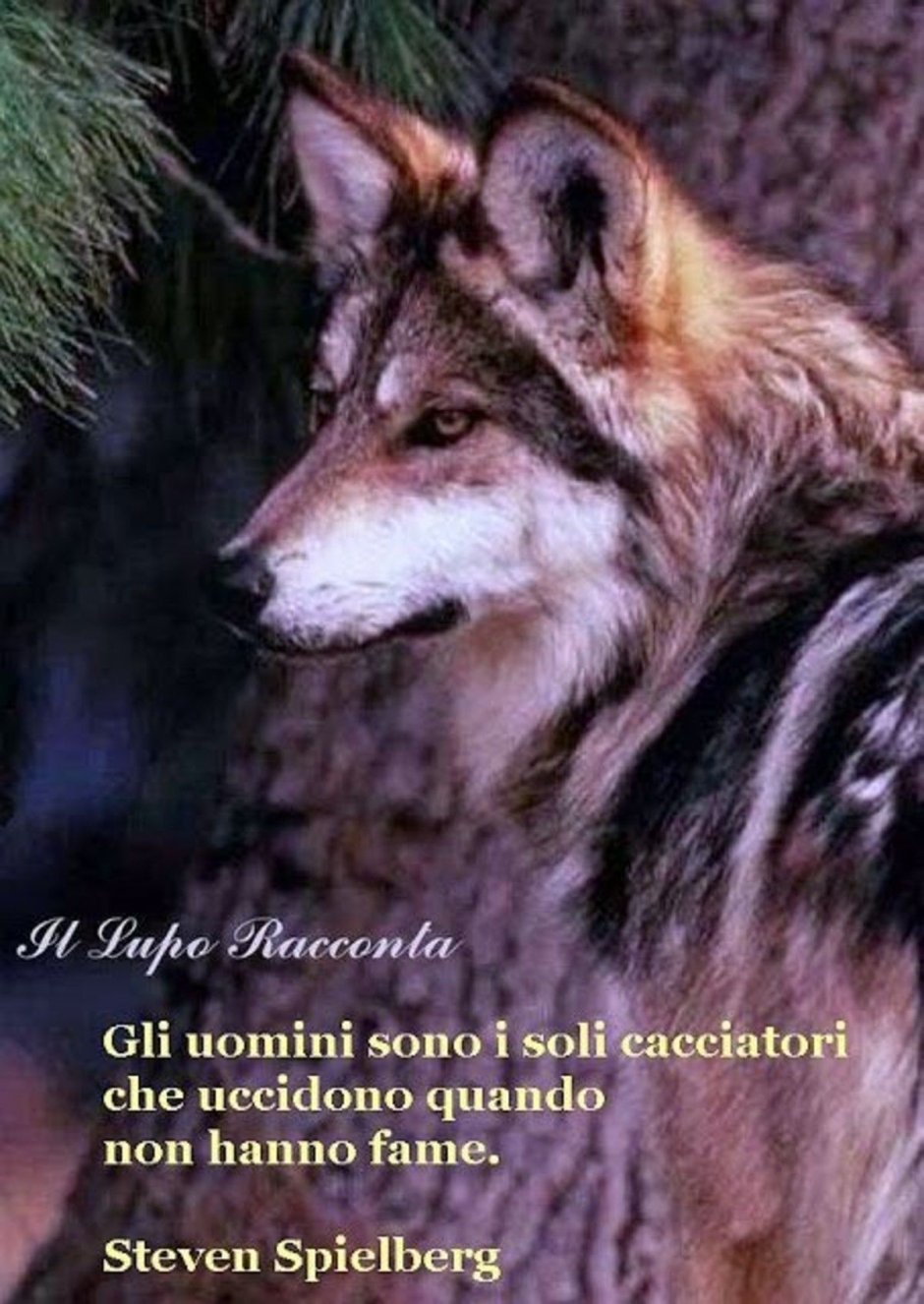 Цветовая палитра для волка