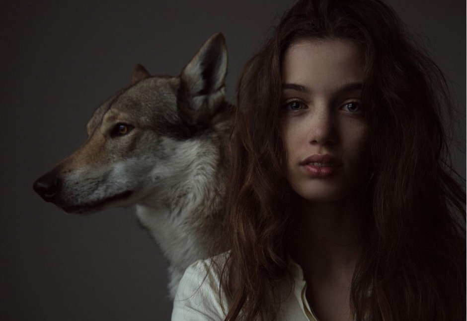 Брошь из бисера волк