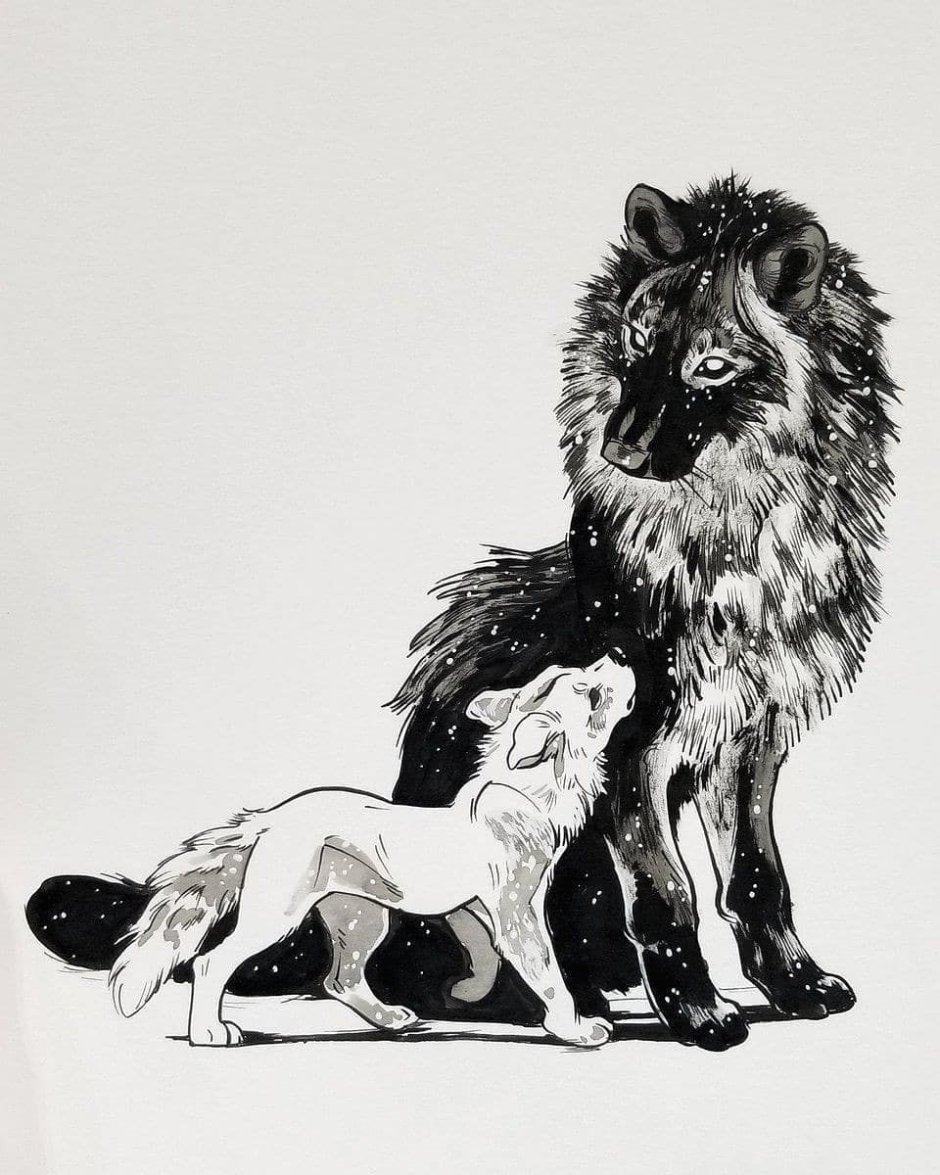 Волк лежит карандашом