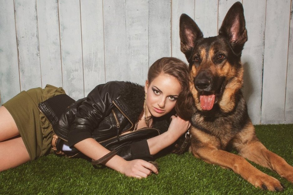 Хуй кобеля немецкой овчарки