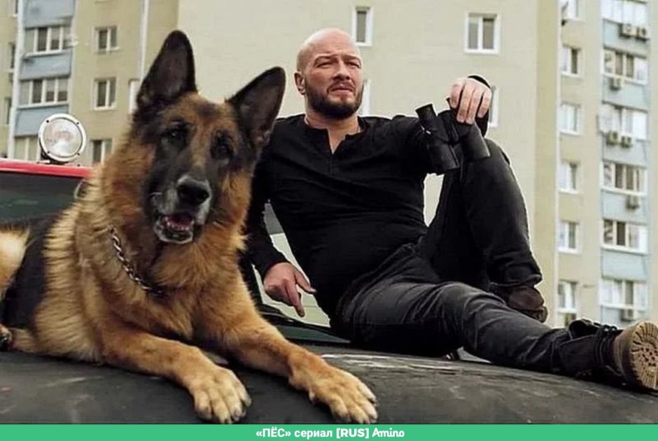 Собака в Кожанке