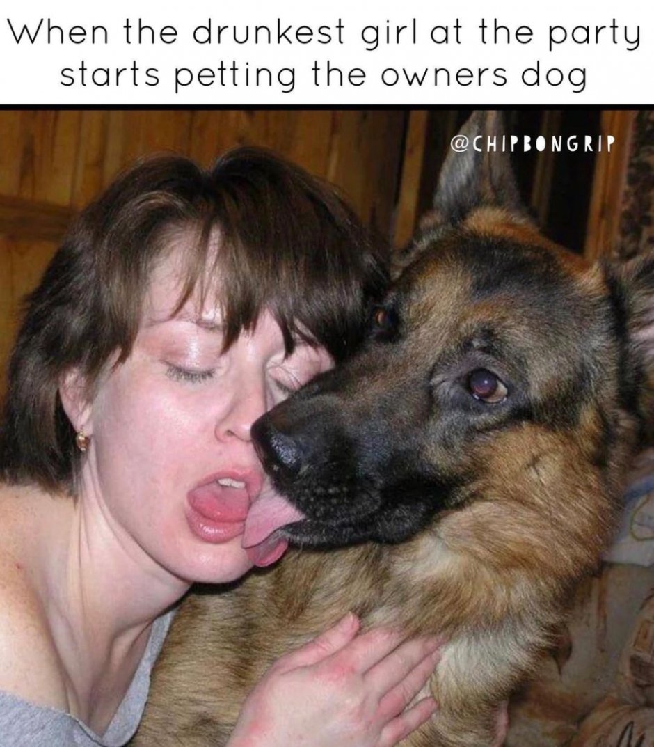 Бритая овчарка фото