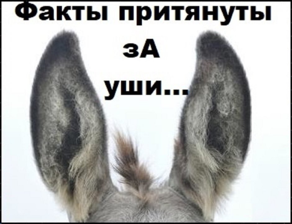 Мерлин Артур осел