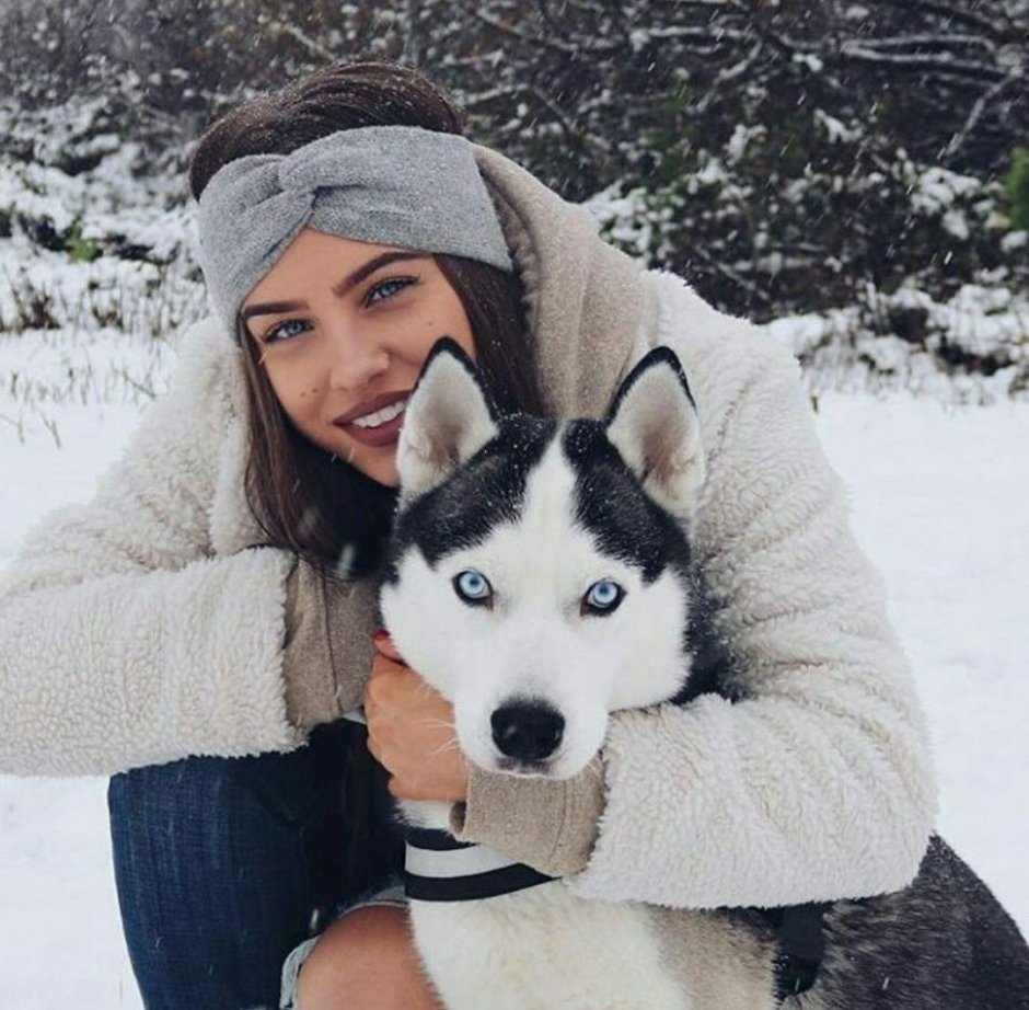 Символ волка
