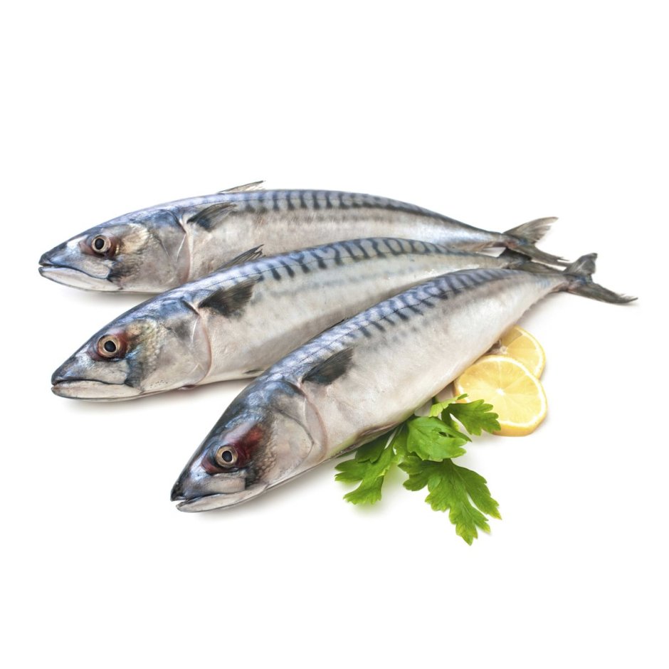 Скумбрия (свежемороженная)