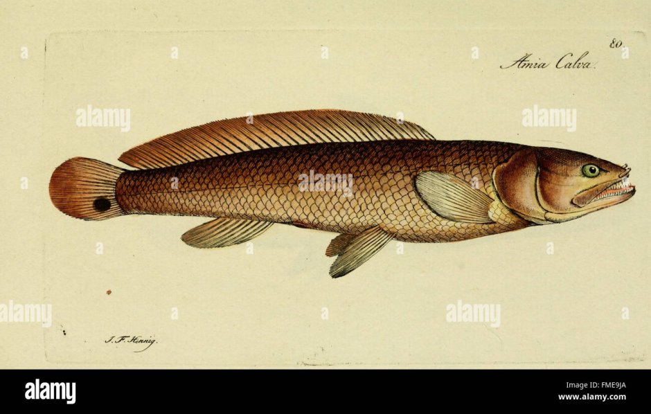 Холодильник Toshiba gr-rt565rs(LS)