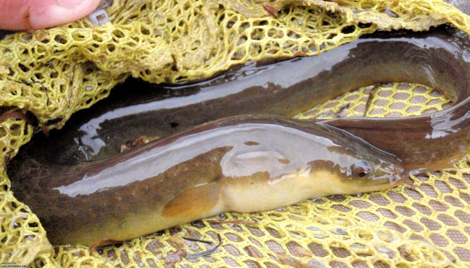 Красивые пейзажи на рыбалке