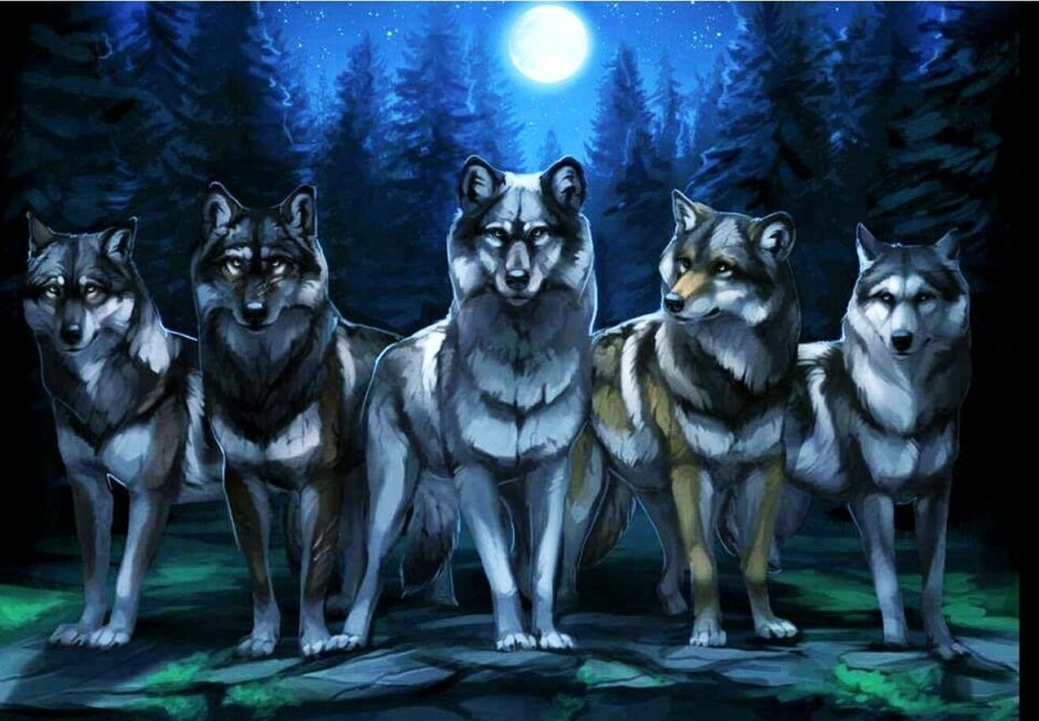 Tazihound волки стая