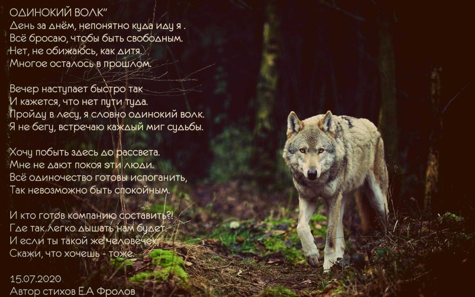 Стих про волка