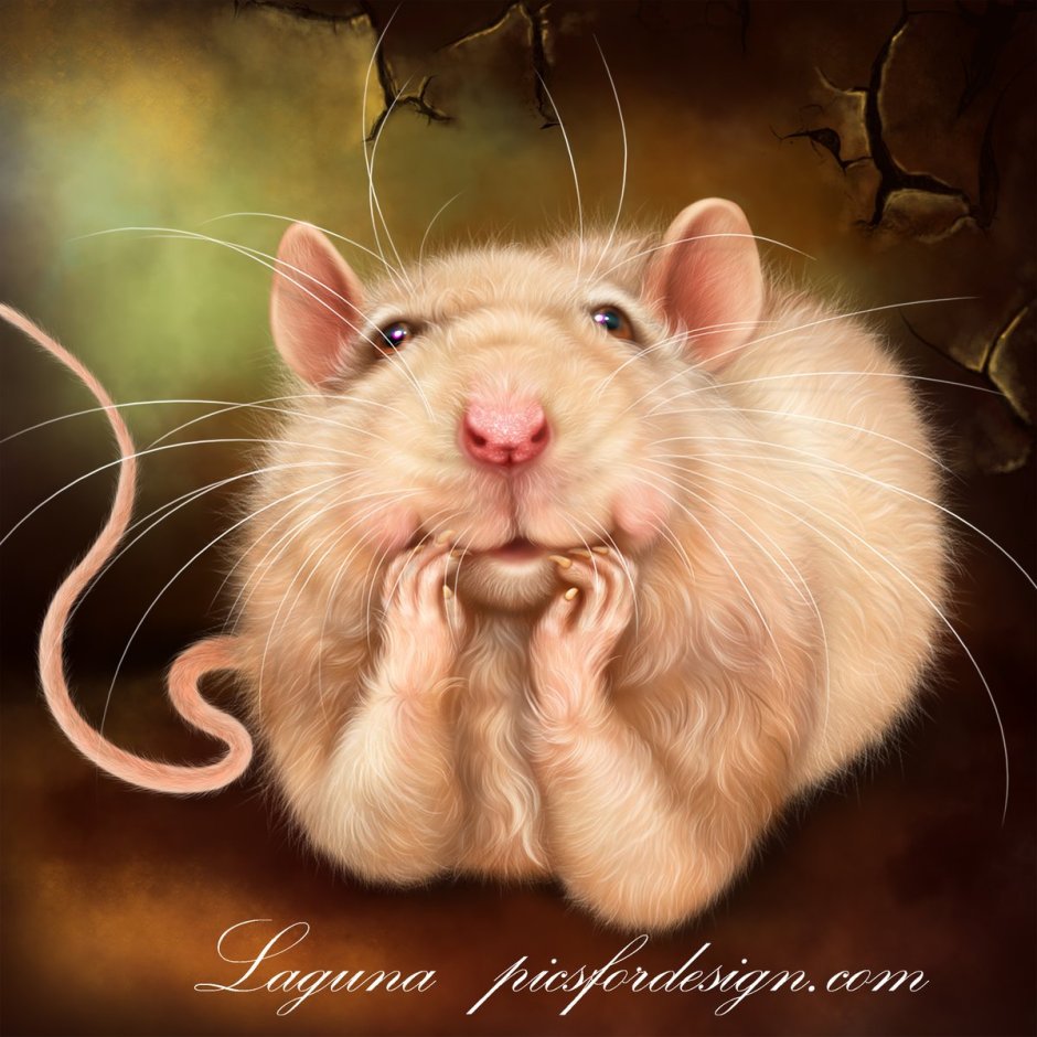 Крыса с телефоном