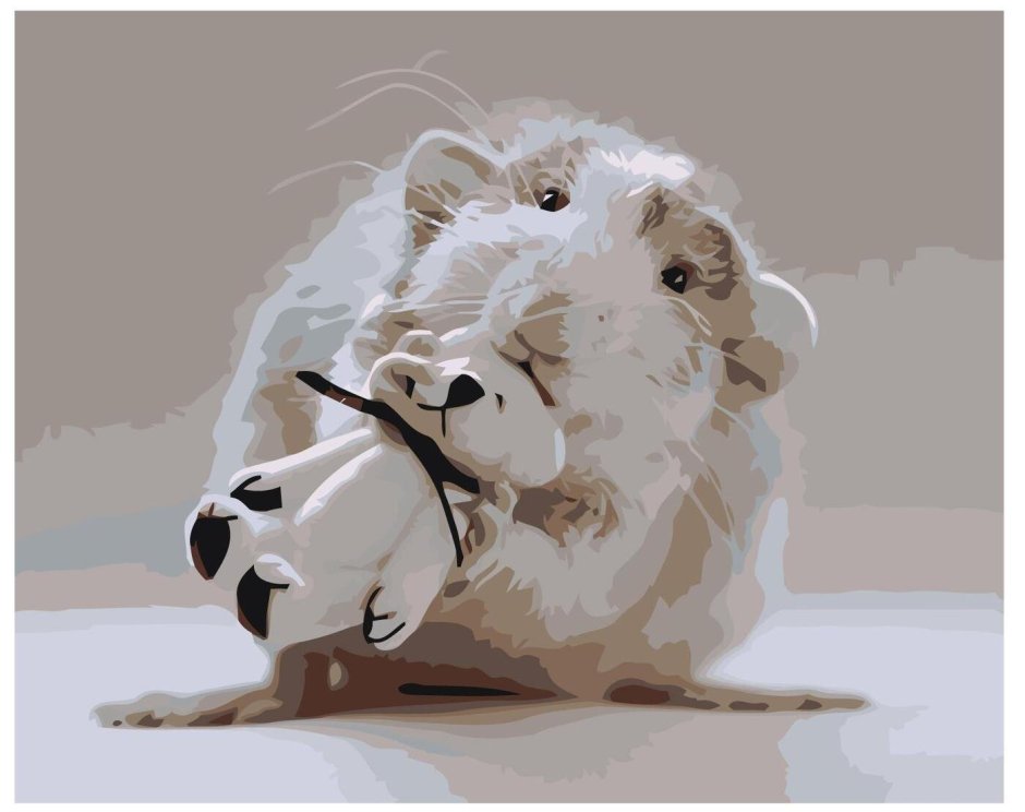 Смешные мышки