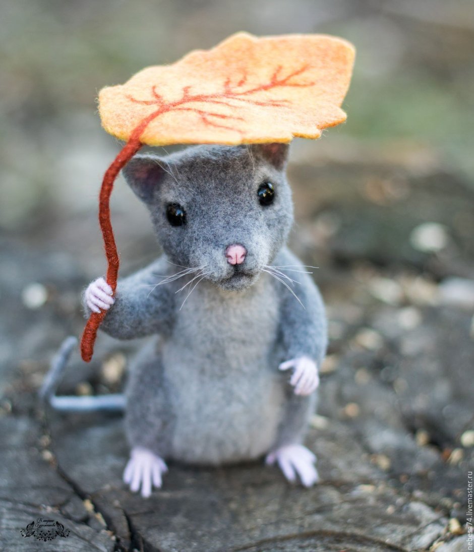 Мышиная белка