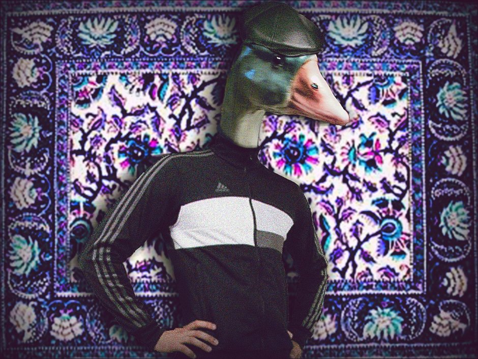 Довольный Гусь