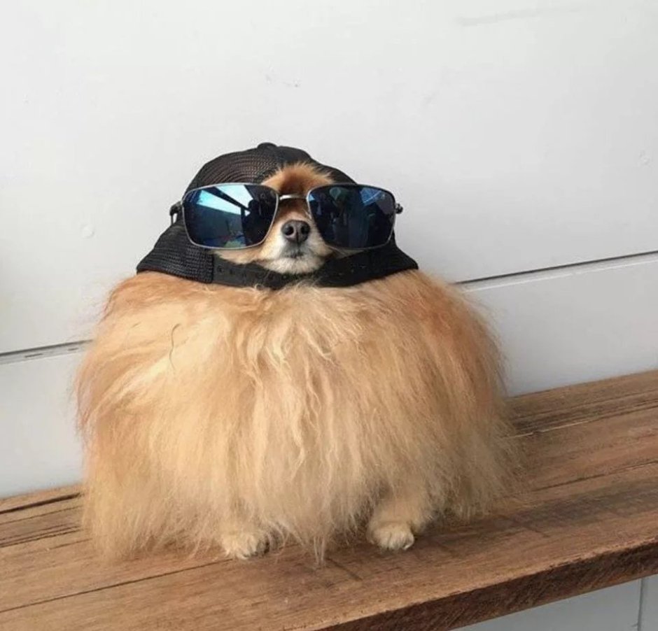 Смешной Гусь