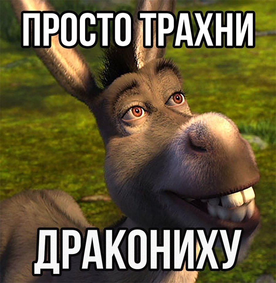 Интересные факты о ослах