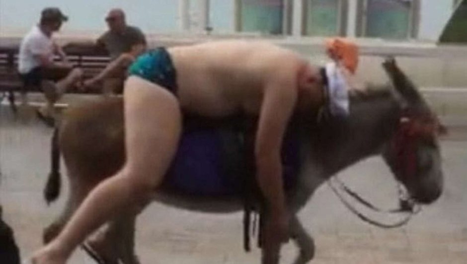 Весёлый ослик стих