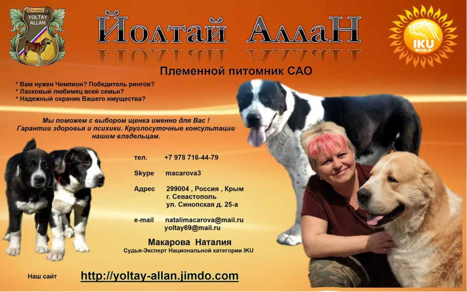 Приют для животных в Туле