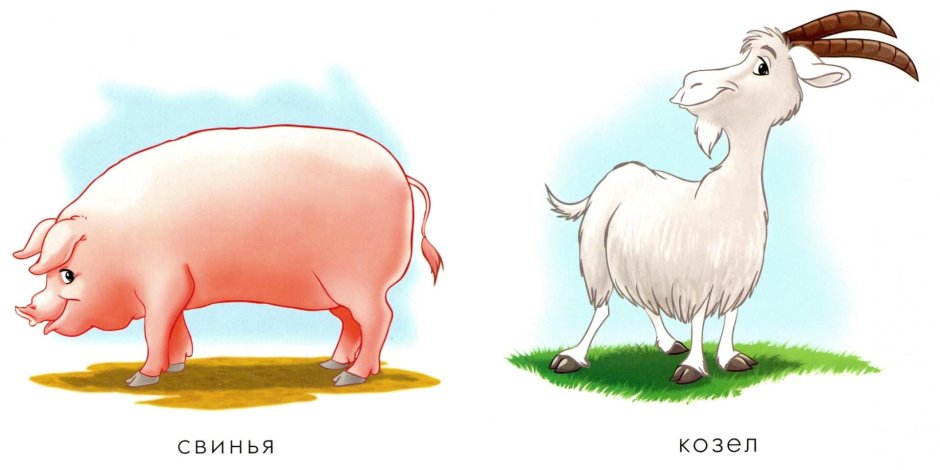 Козел и свинья