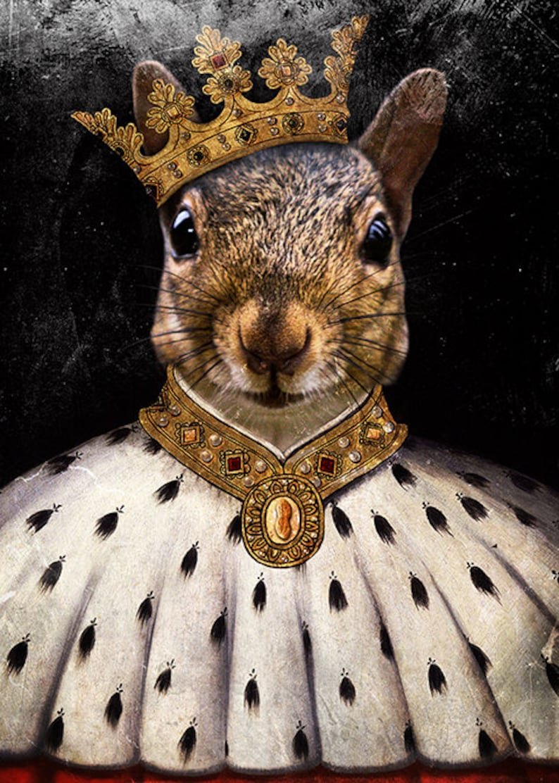 Беличий крысиный Король