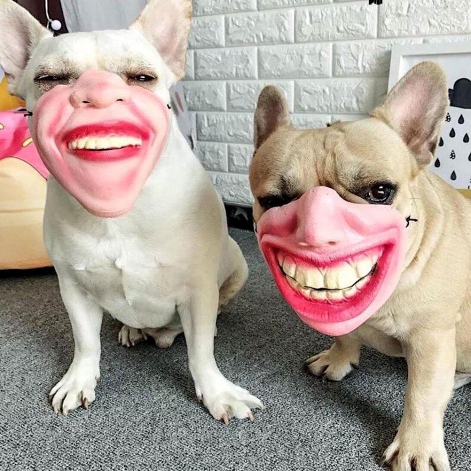 Люди с животными