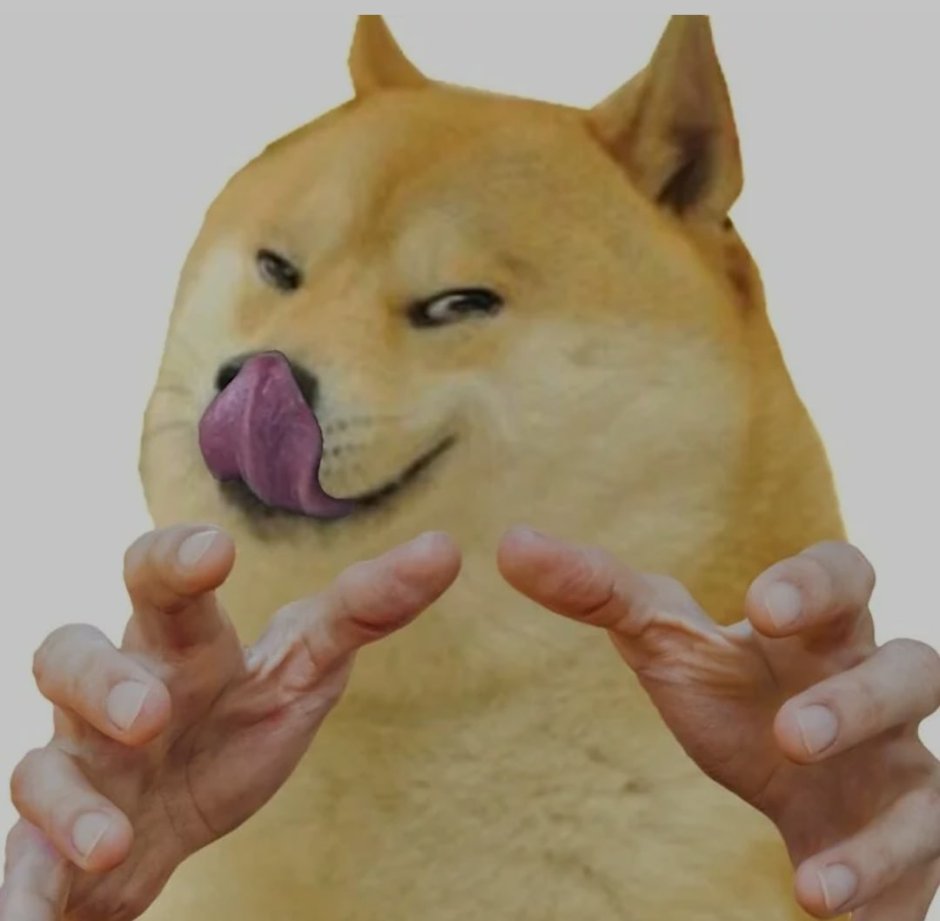 Собака облизывает