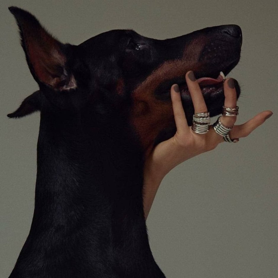 Девушка с собачкой на руках