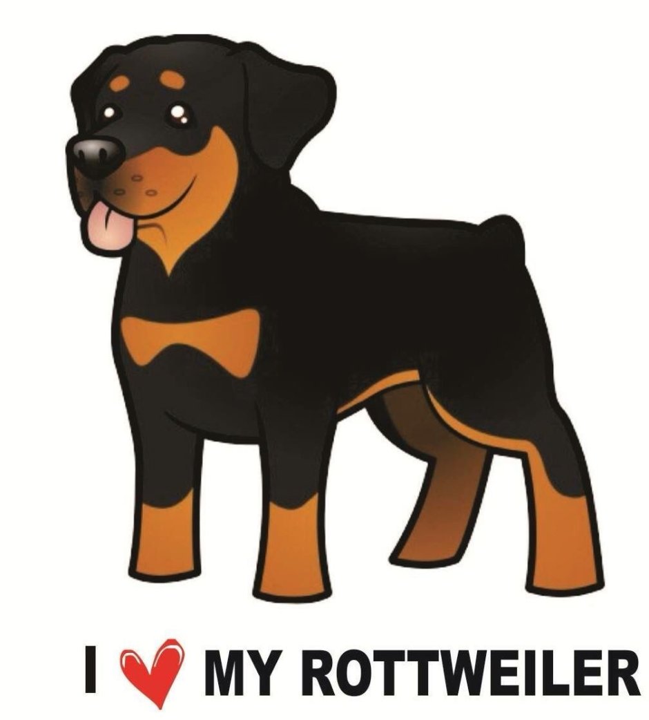 Собака с коротким хвостом