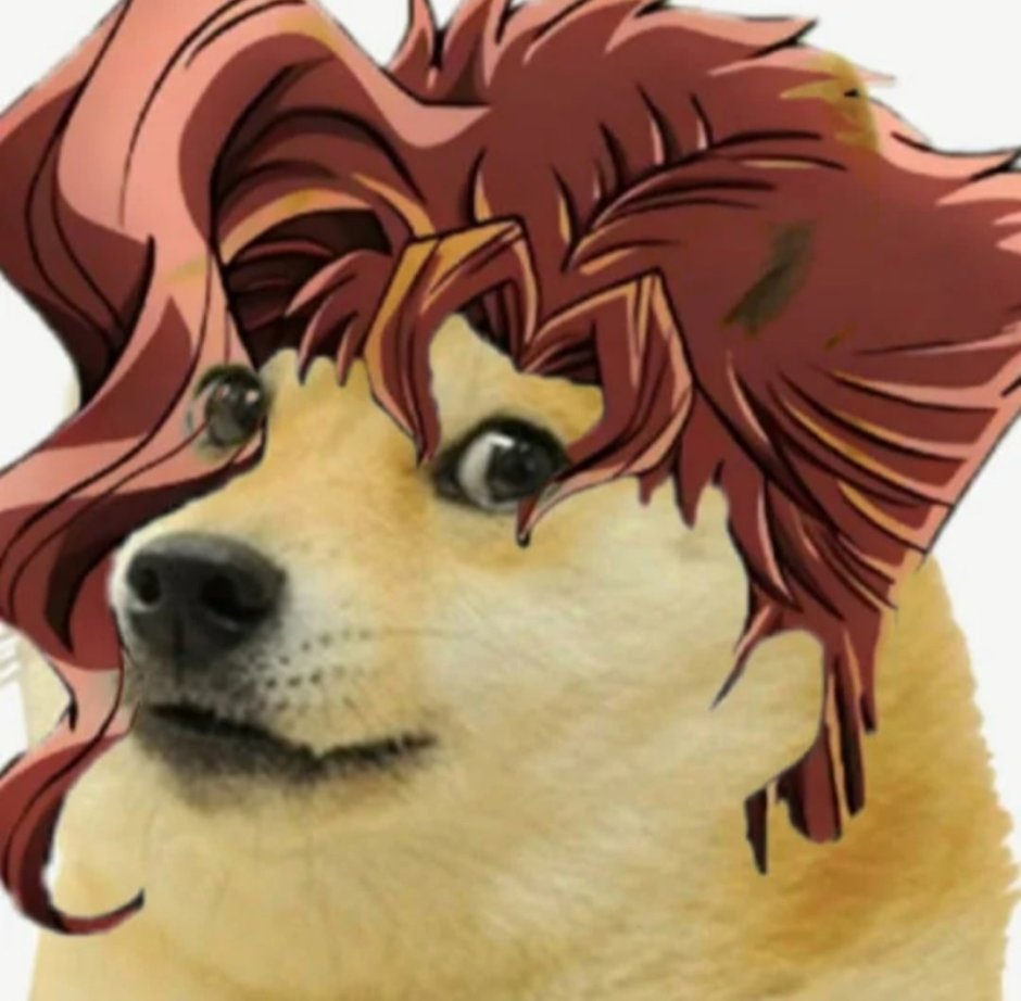 Авы Джоджо собаки Диего